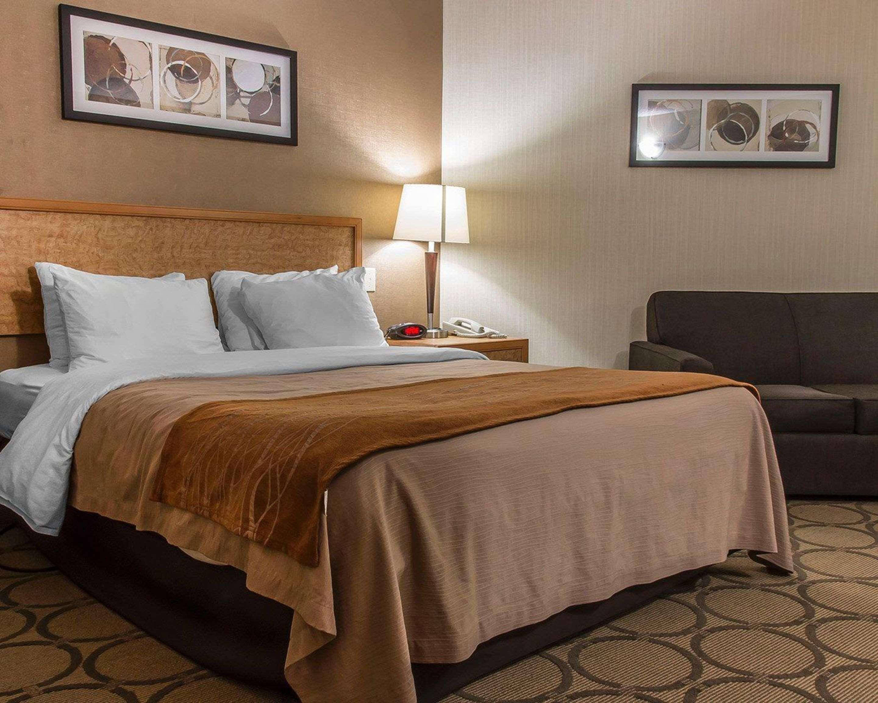 ברנדון Comfort Inn מראה חיצוני תמונה