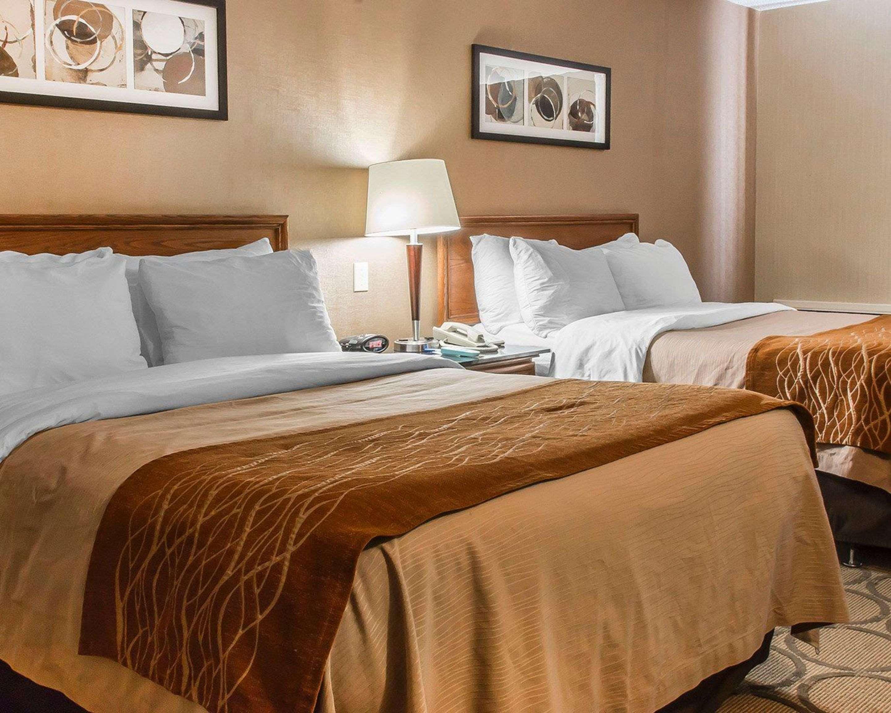 ברנדון Comfort Inn מראה חיצוני תמונה