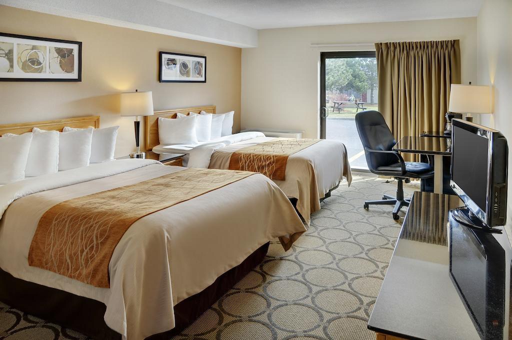 ברנדון Comfort Inn מראה חיצוני תמונה