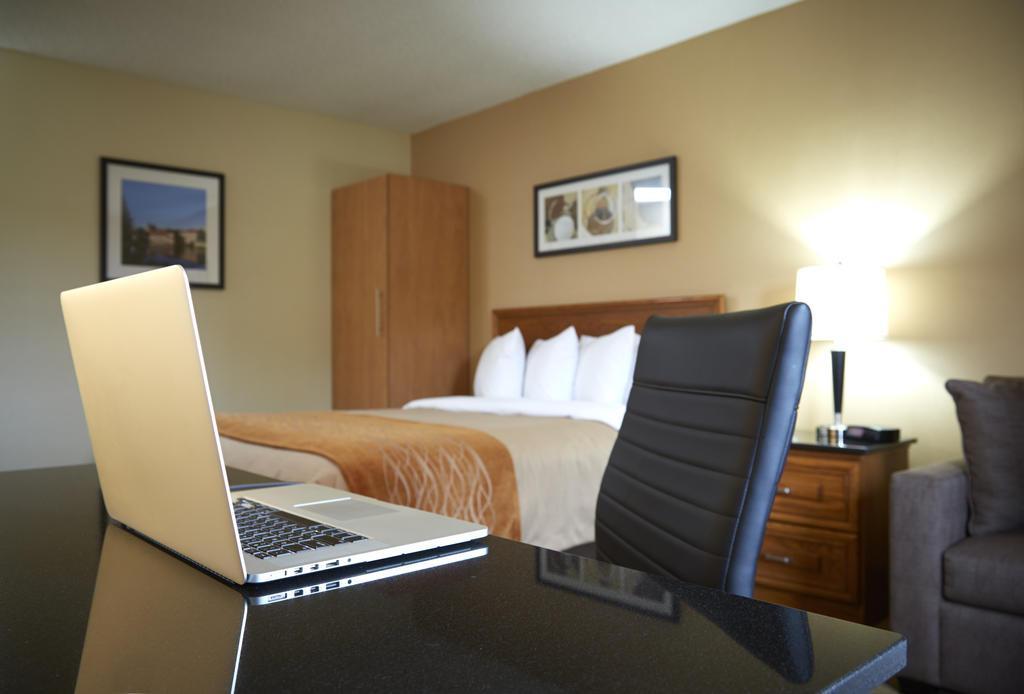 ברנדון Comfort Inn מראה חיצוני תמונה