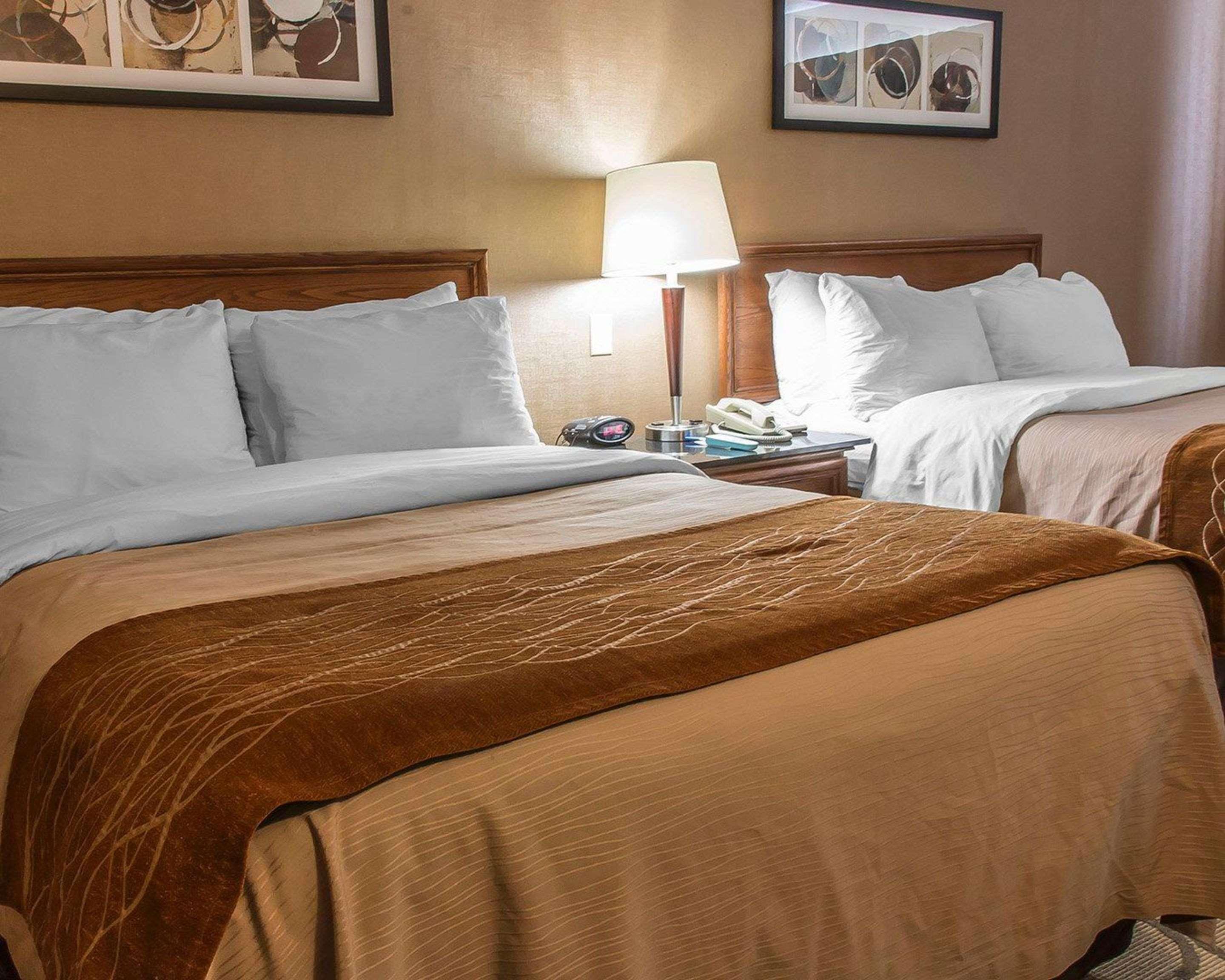 ברנדון Comfort Inn מראה חיצוני תמונה