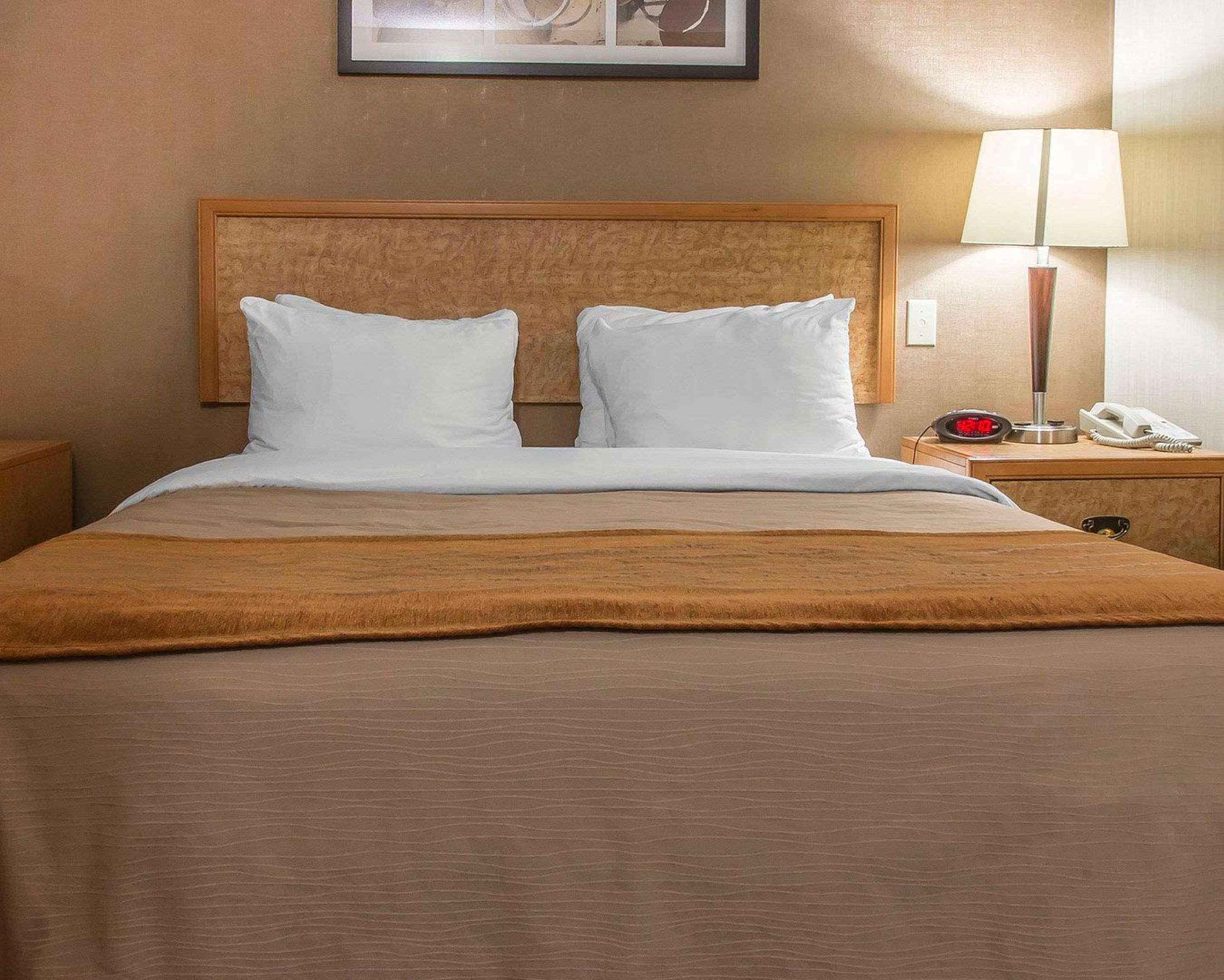 ברנדון Comfort Inn מראה חיצוני תמונה