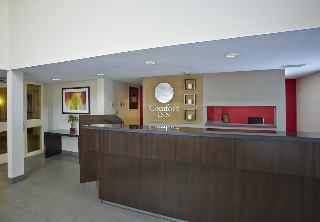 ברנדון Comfort Inn מראה חיצוני תמונה