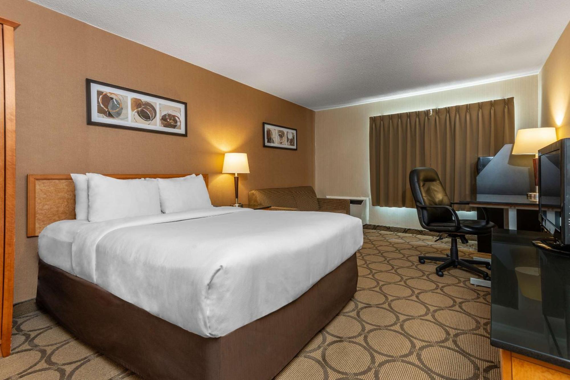 ברנדון Comfort Inn מראה חיצוני תמונה