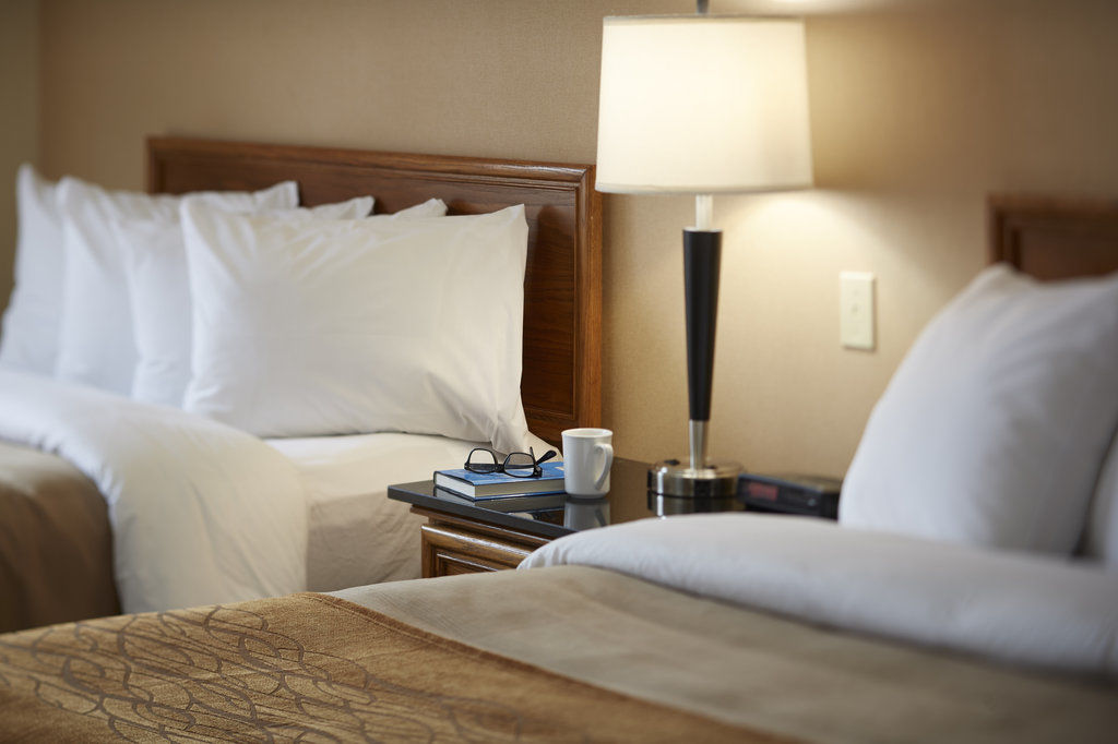 ברנדון Comfort Inn מראה חיצוני תמונה